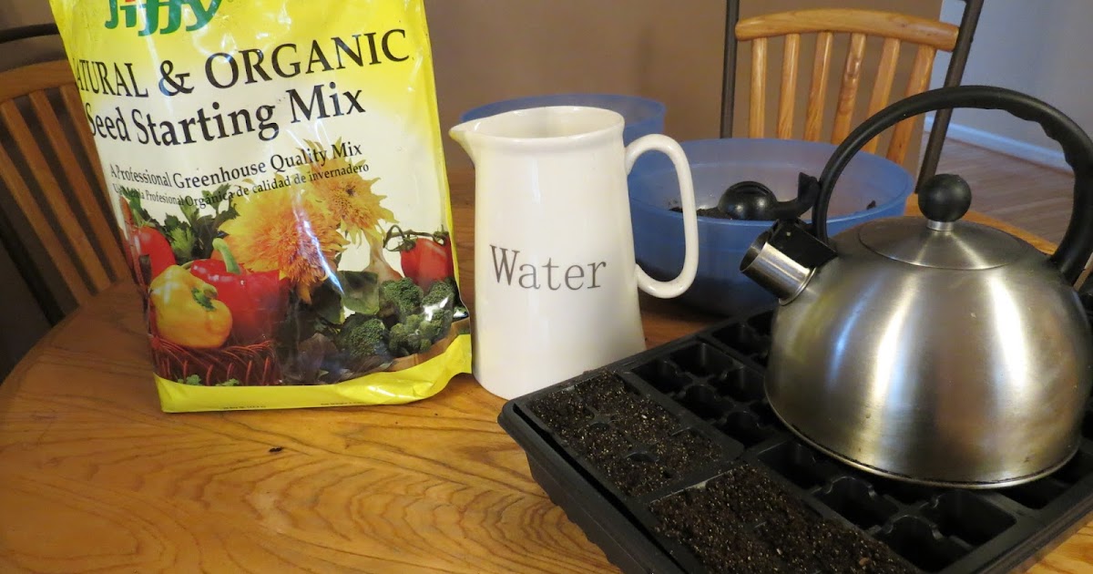 The Rusted Vegetable Garden
