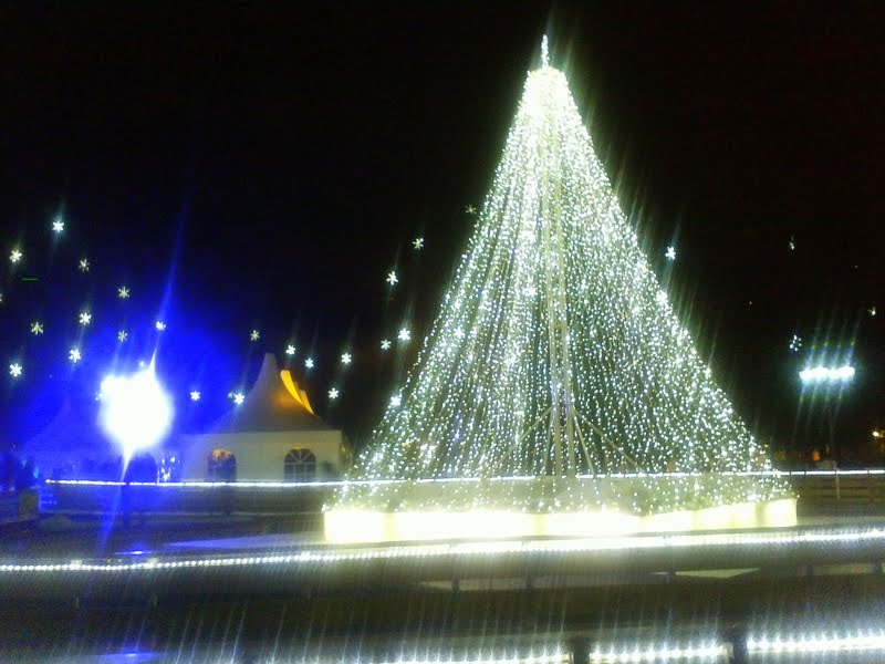 Bildgalerie Demo Fur Alle Bus In Karlsruhe Wiesbaden Koln