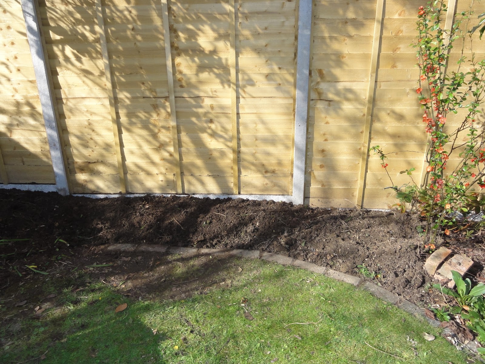 Raising Veg: 2012-04-01