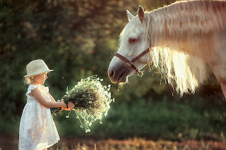 niña-dando-de-comer-al-caballo