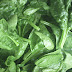 Pros and Cons of a Daily Spinach Diet