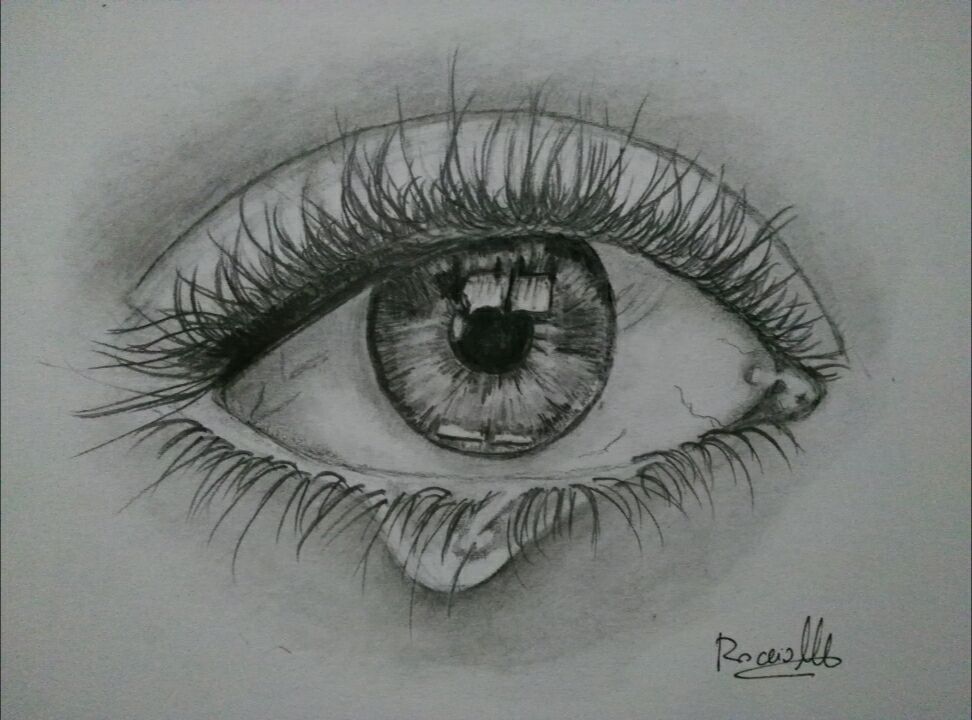 Utopias Y Mas Una Furtiva Lagrima Dibujo A Lapiz Rocio Morales Sanzano