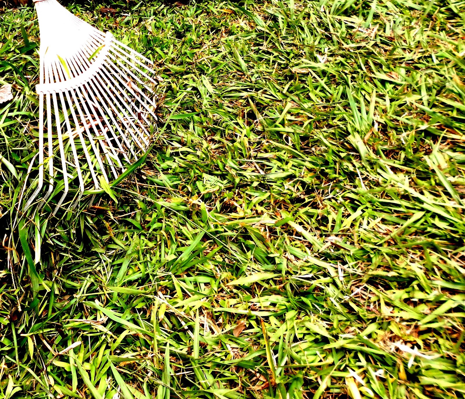 Soluciones para el Hogar y el Amor: agosto 2013