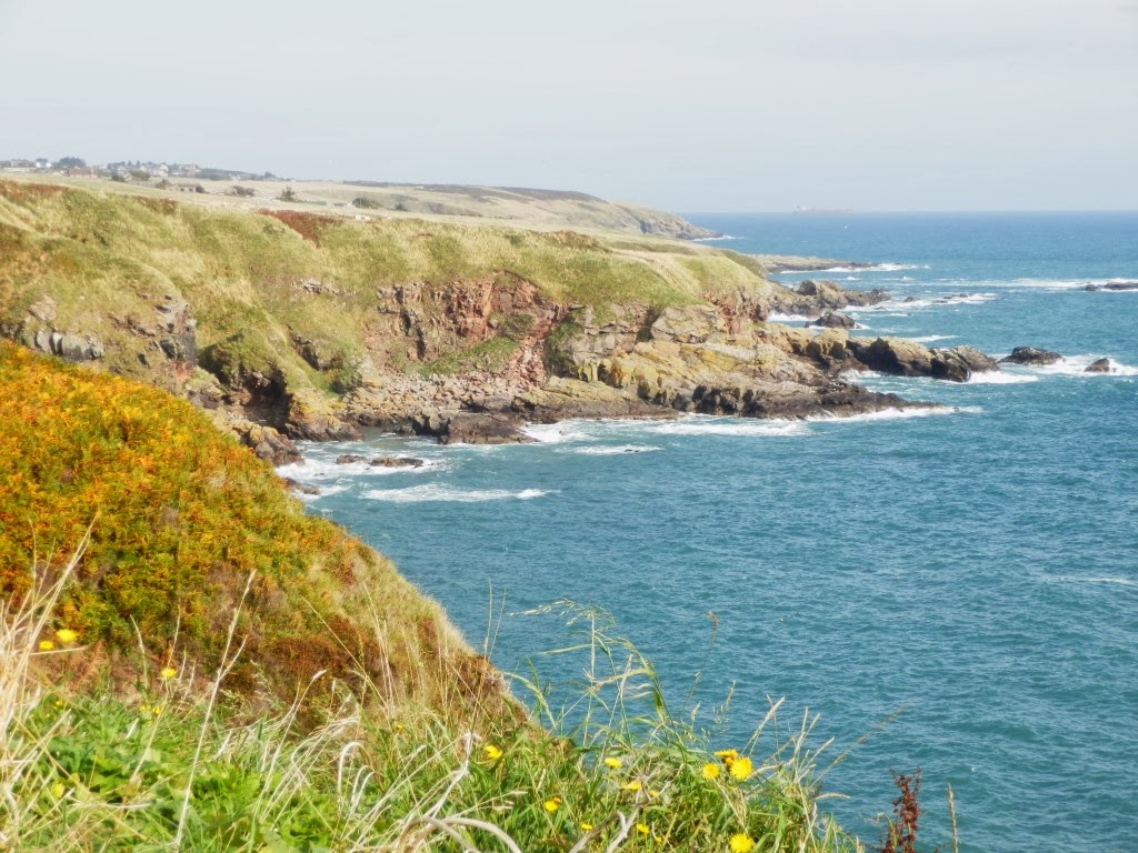 My Daily Walk Old Portlethen to Downies, Aberdeenshire