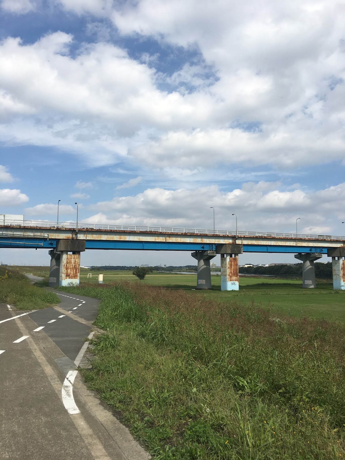 ハロー三郷生活 三郷流山橋はこの辺？