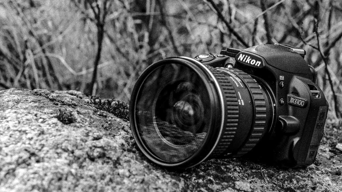 Nikon D3100