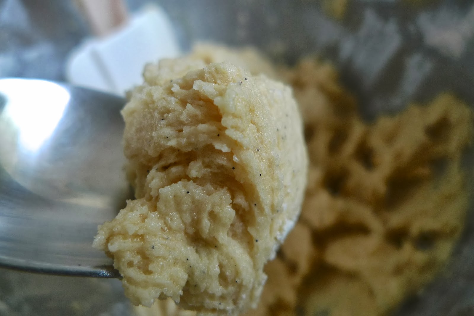 siriously delicious Vanilla Bean Blondies