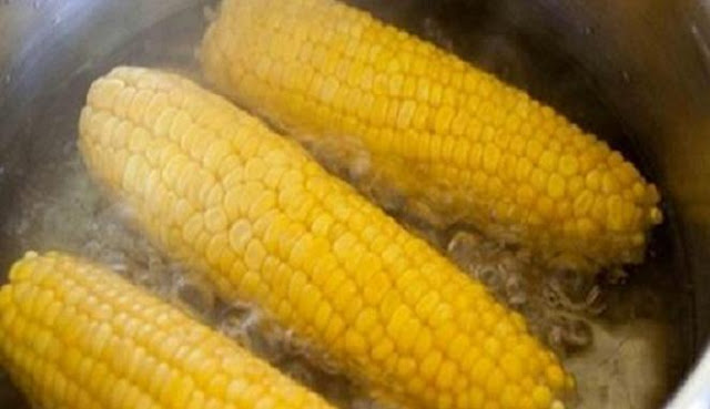 Jangan Remehkan, Inilah 5 Khasiat Penting Air Bekas Rebusan Jagung Jangan Remehkan, Inilah 5 Khasiat Penting Air Bekas Rebusan Jagung