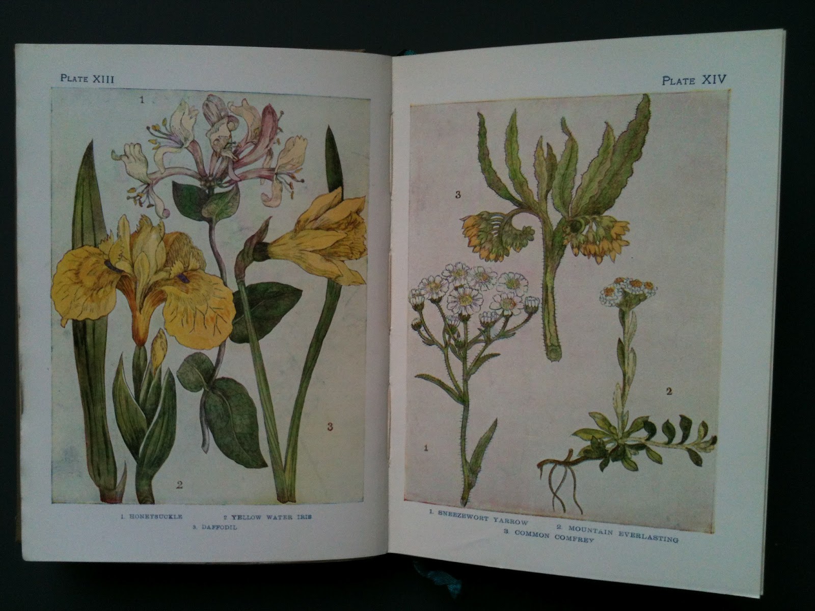 Moss Favourite flower books