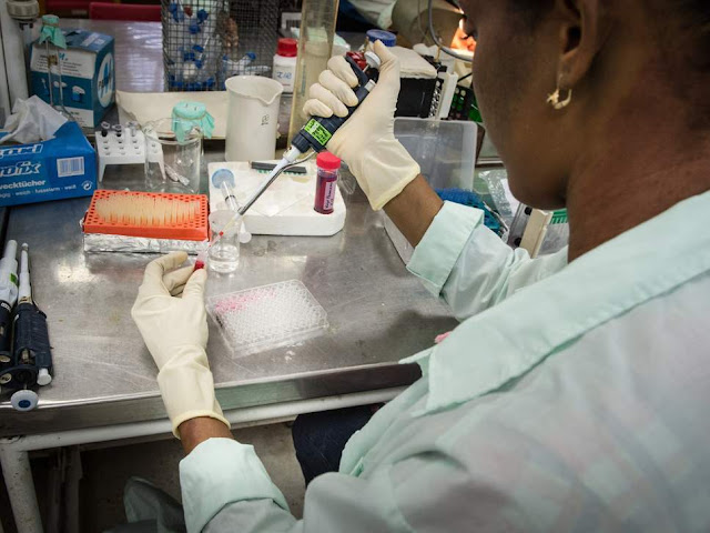دراسة تكشف عن علاج مُفاجئ للسرطان، من المحتمل أن تكون الملاريا