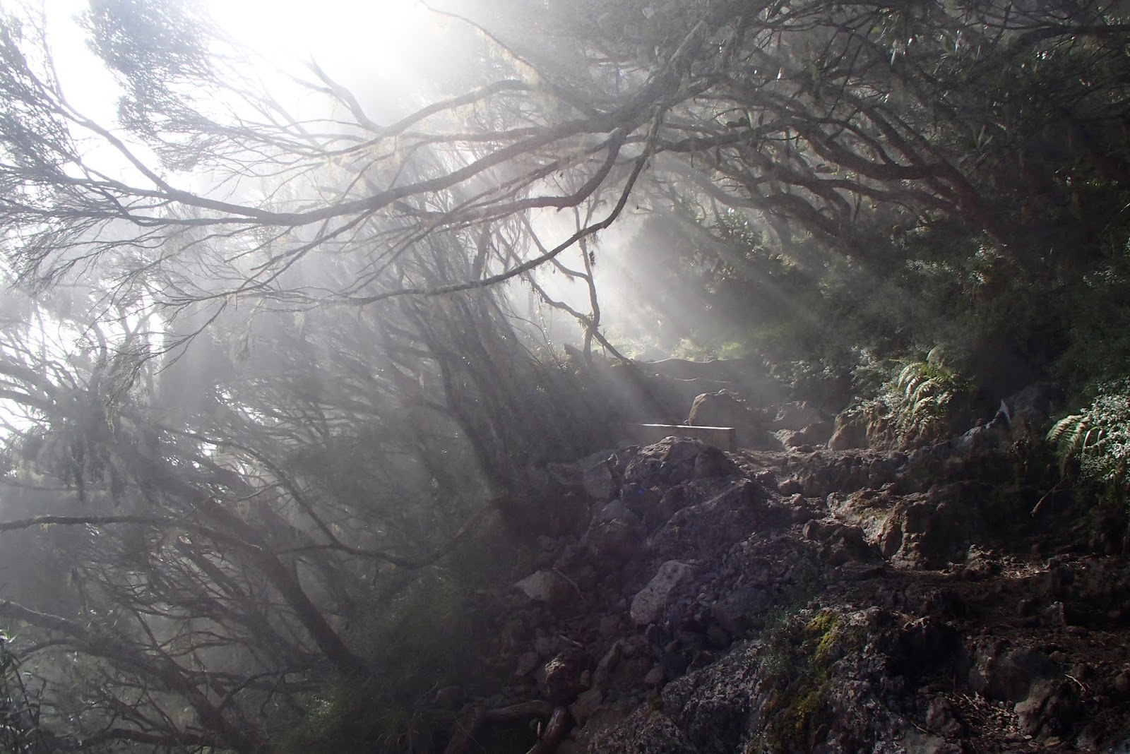 Direction La Réunion Ascension au Piton des Neiges partie 1