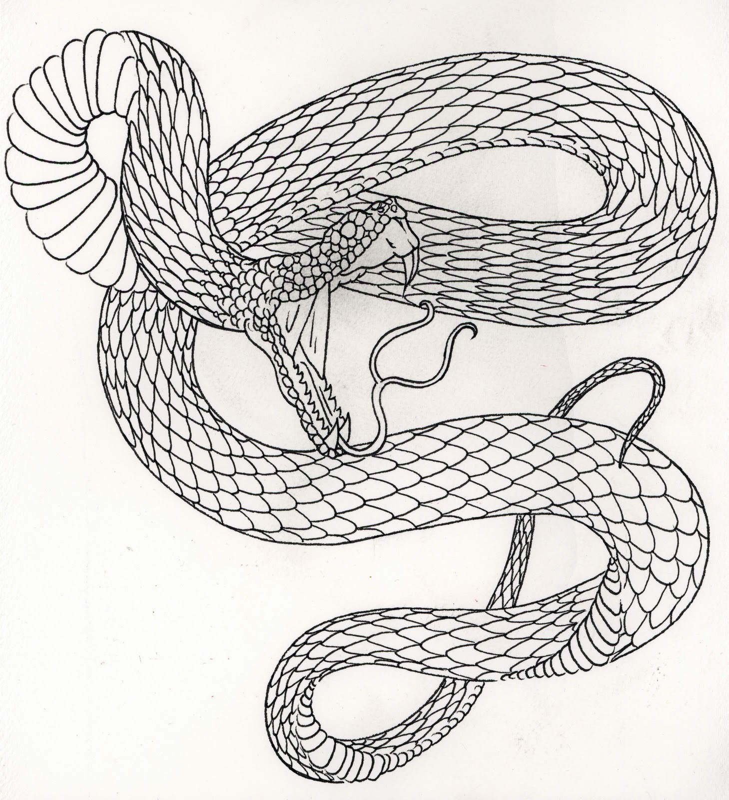 Схема гадюка. Рисунок змеи. Змея эскиз. Набросок змеи. Эскиз змеи простой.