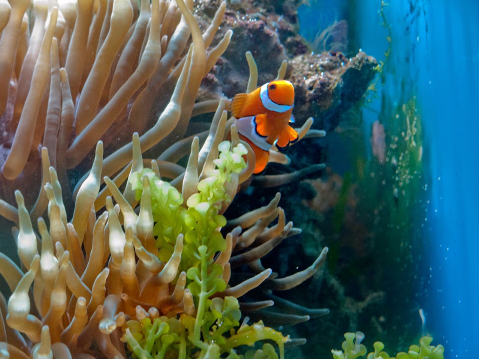 FeistyFotos feistyfotos