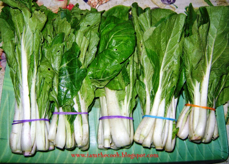 i am the cook! PinePechay Lumpia Kitchenomica (Snow Cabbage and