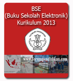 2013 2013