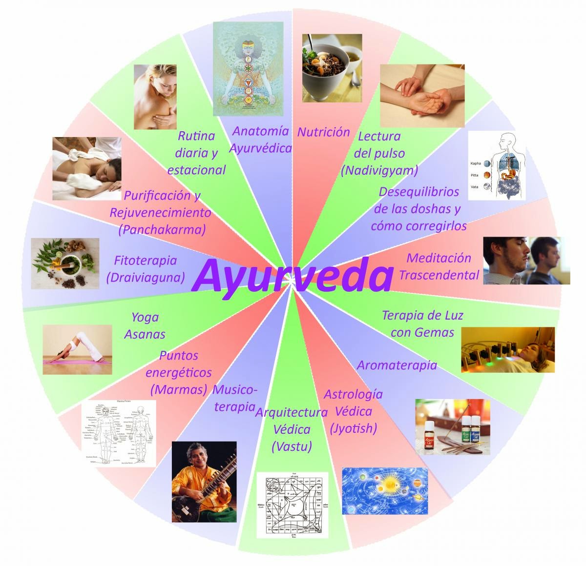 Shweda Ayurveda Wellness Qué es la Ayurveda