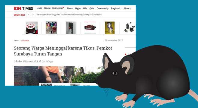 Cara Mengusir Tikus Di Rumah Menurut Islam Cara Mengusir Tikus Di Rumah Menurut Islam