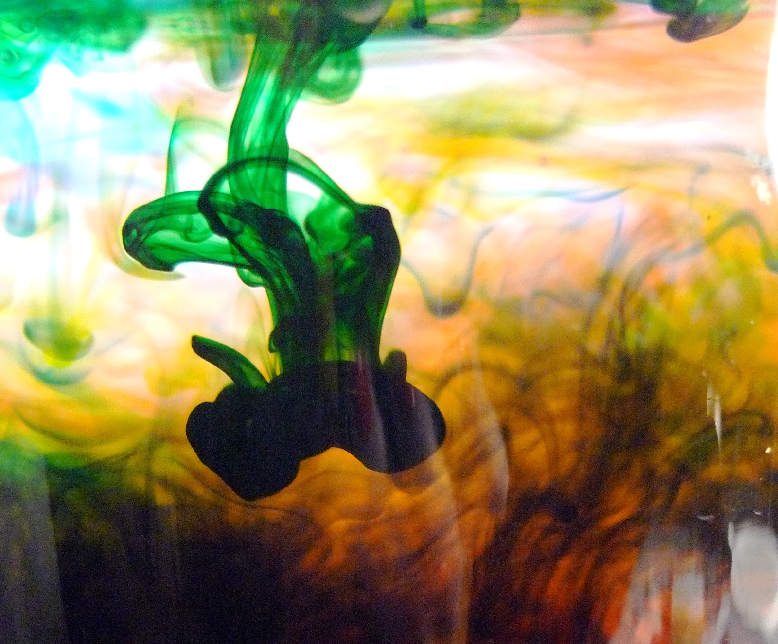 Natalie's Photog Blog Food Coloring in Water