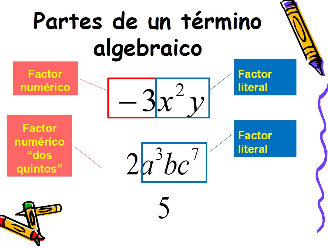 Elementos De Un Termino Algebraico