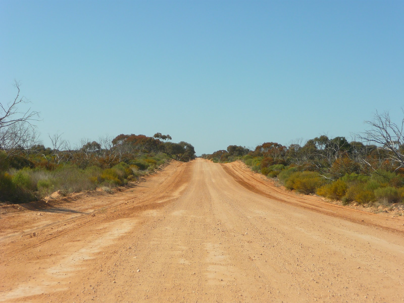 On the Road and at Home Mungo National Park