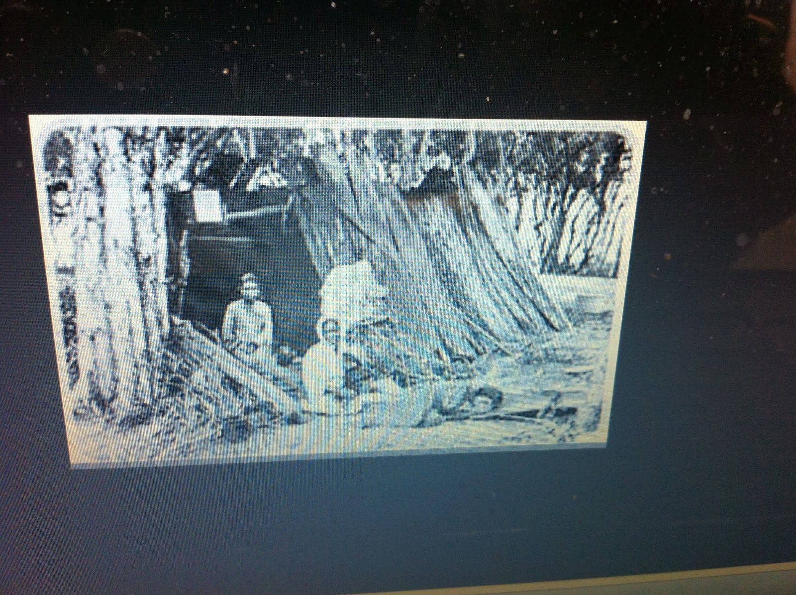 THE BLACK SOCIAL HISTORY:: BLACK SOCIAL HISTORY : THE WATERLOO CREEK