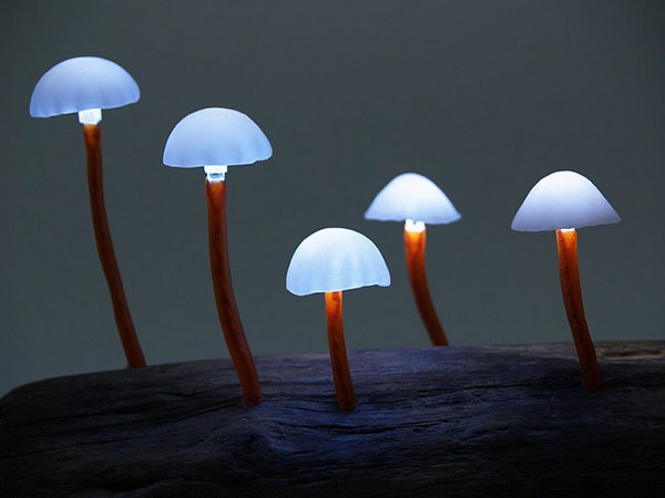 cool mushroom