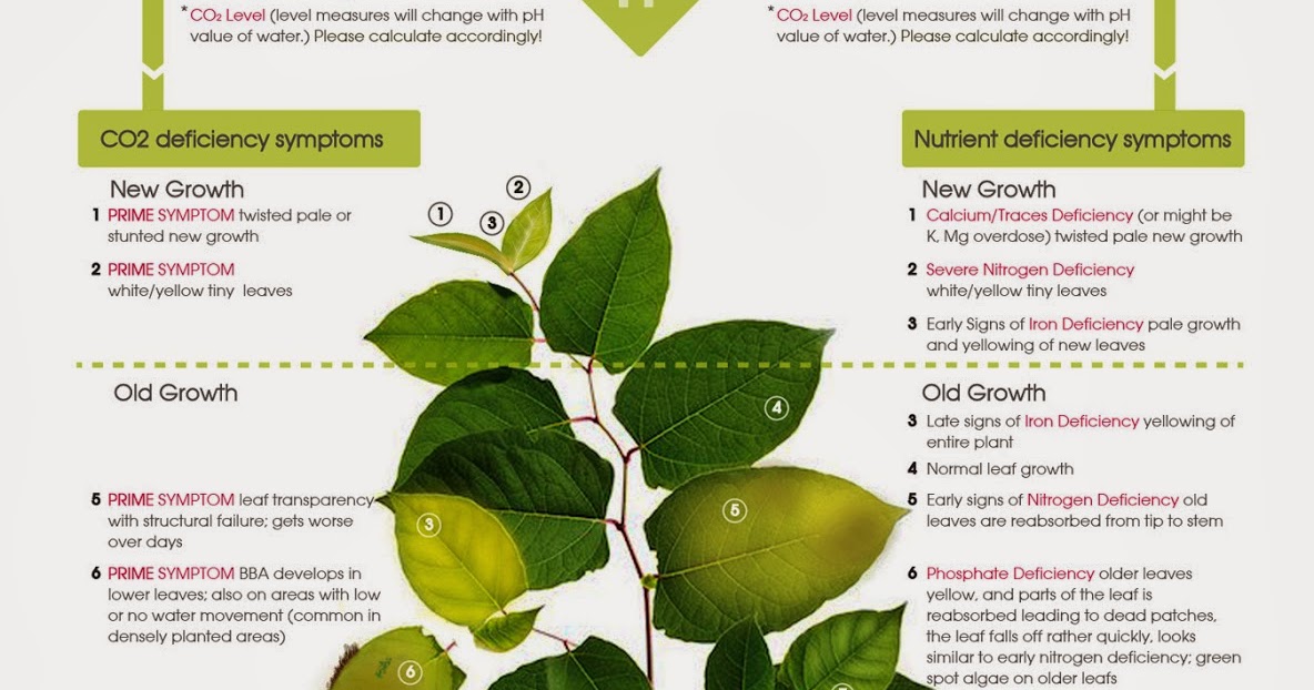 Aquatic Plant Deficiency Chart