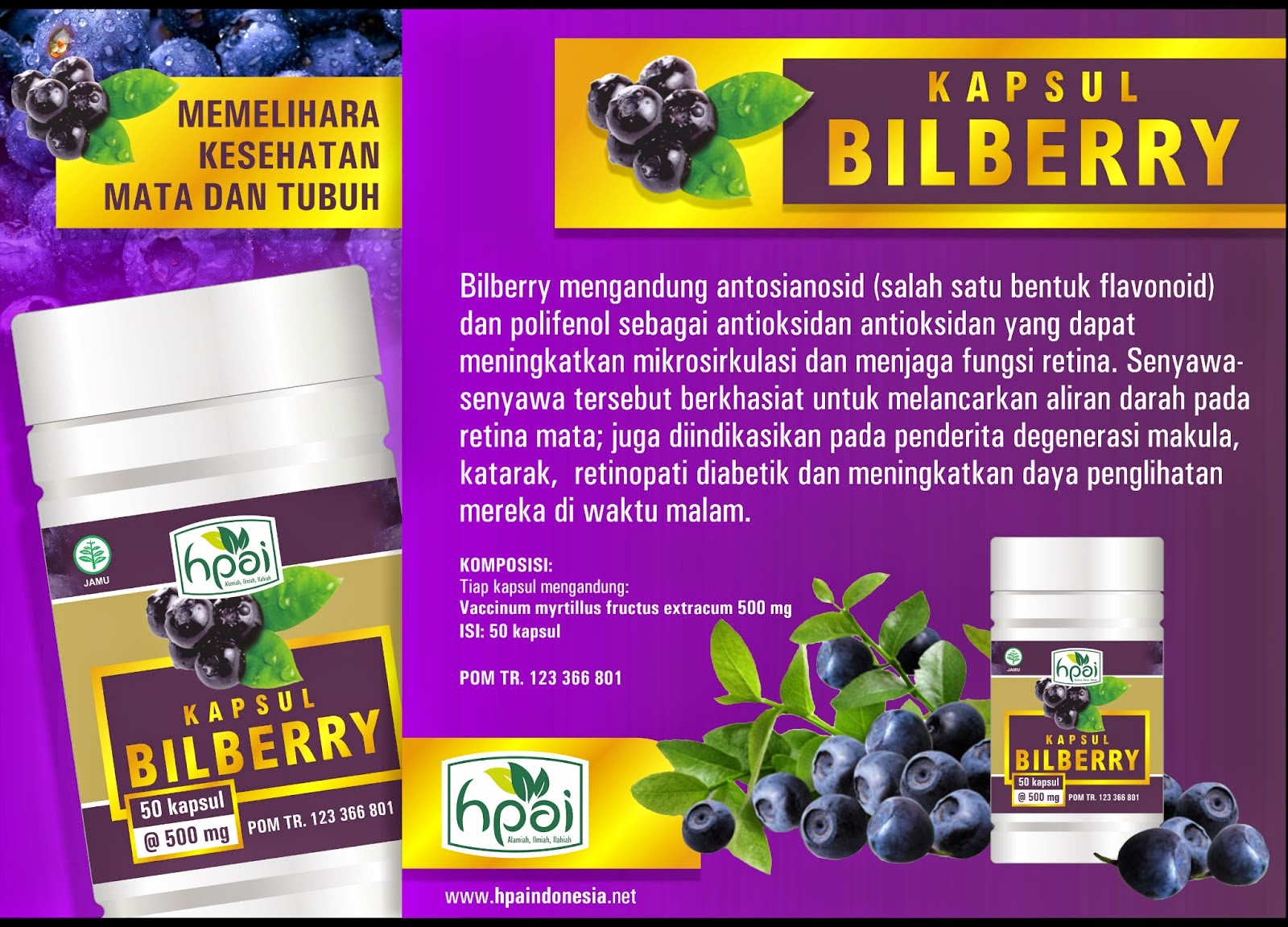 JUAL KAPSUL BILBERRY HPAI DI SIDOARJO HERBAL MATA jual obat herbal