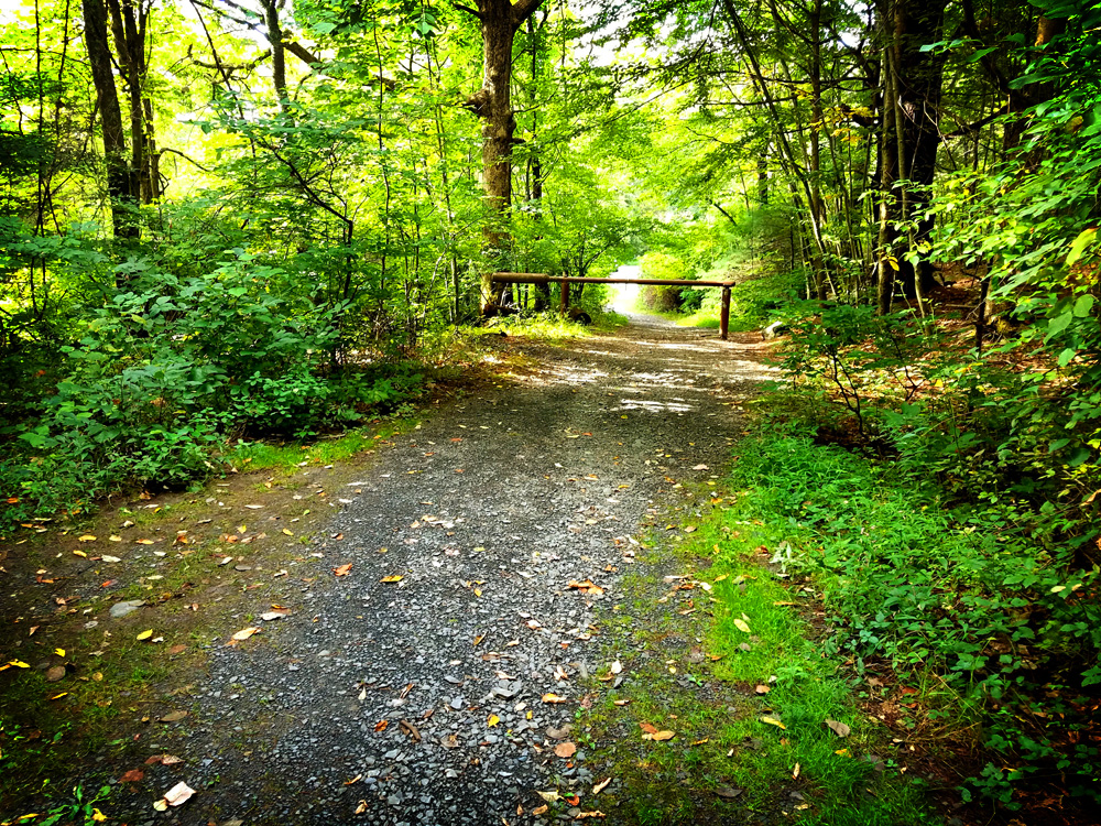 Hiking Trails in NJ and PA: Hiking the Cliff Trail to the Hackers Falls ...
