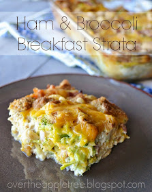 Ham and Broccoli Breakfast Strata >> Over The Apple Tree