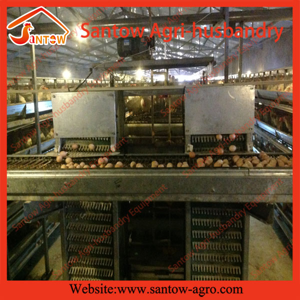 ZhengZhou Santow Agrihusbandry Equipment Co., Ltd. Automatic Egg