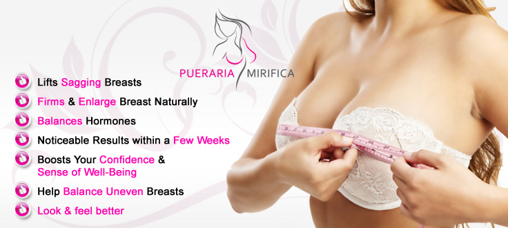 where to find pueraria mirifica