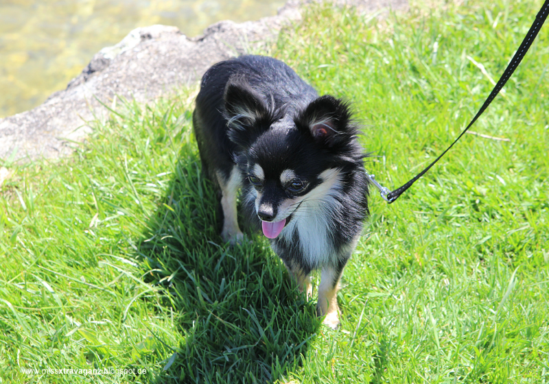 Konzert Konzert Kammer Kammer 10 Mai Preise Preise Preise