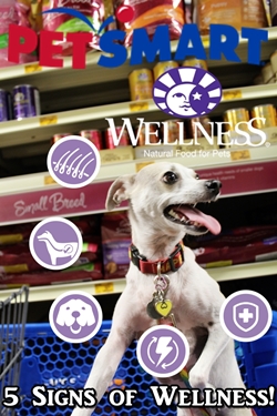 Wellness WellPet Foundation Helps Pets in Need! #WellnessPet