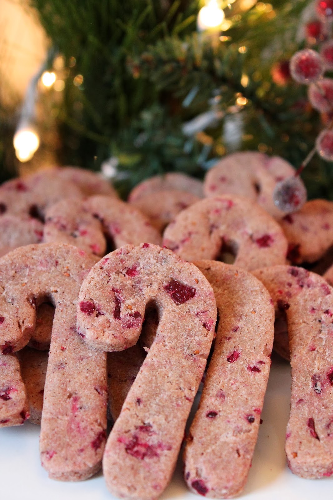 It's TIME! Christmas Dog Treats are here!! - Treat Dreamsare made of this