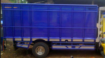 Variasi bak truk Irma Sofyan-biru