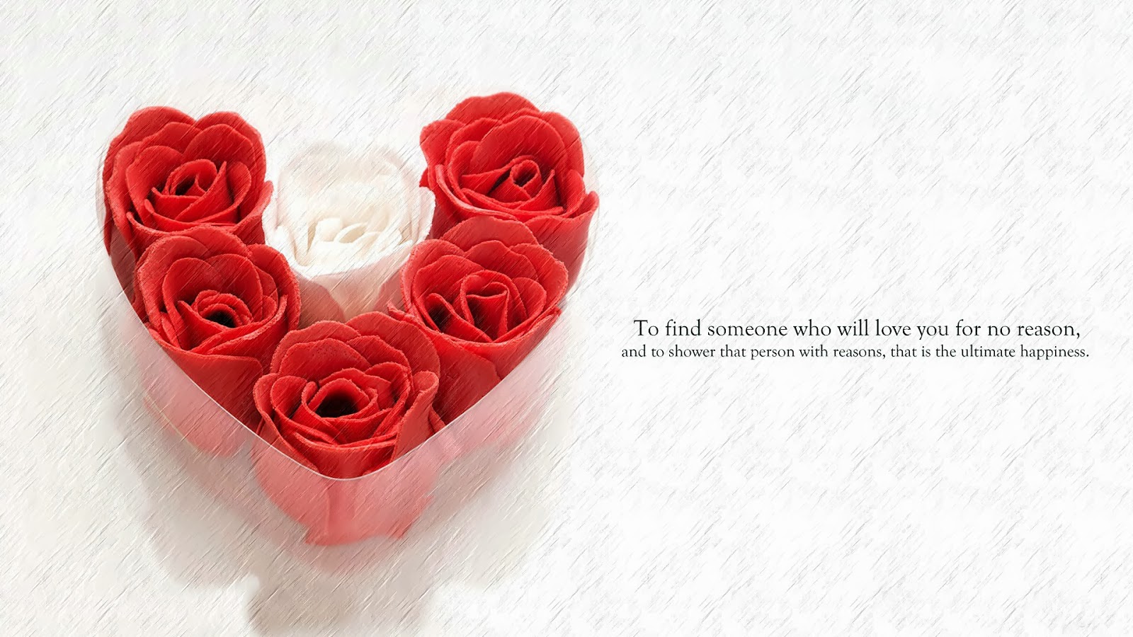 Rose Day Special I am so Lonely I'm So Lonely...