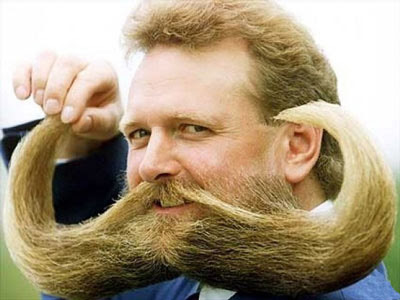 Funny-Beards-11.jpg