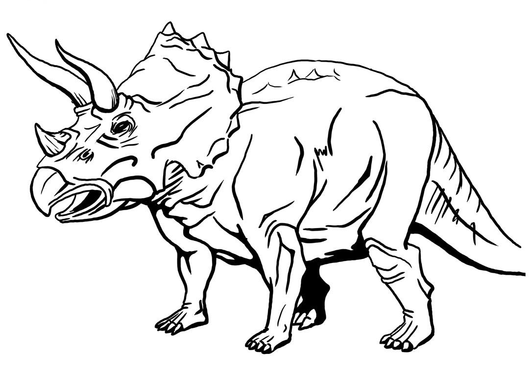 Triceratops para colorear Imagui