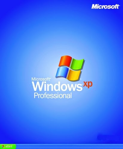 Professional Professional