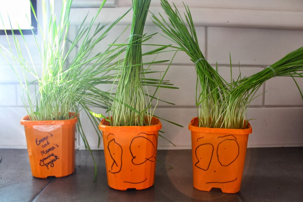 Little people design Growing hair to pot friends