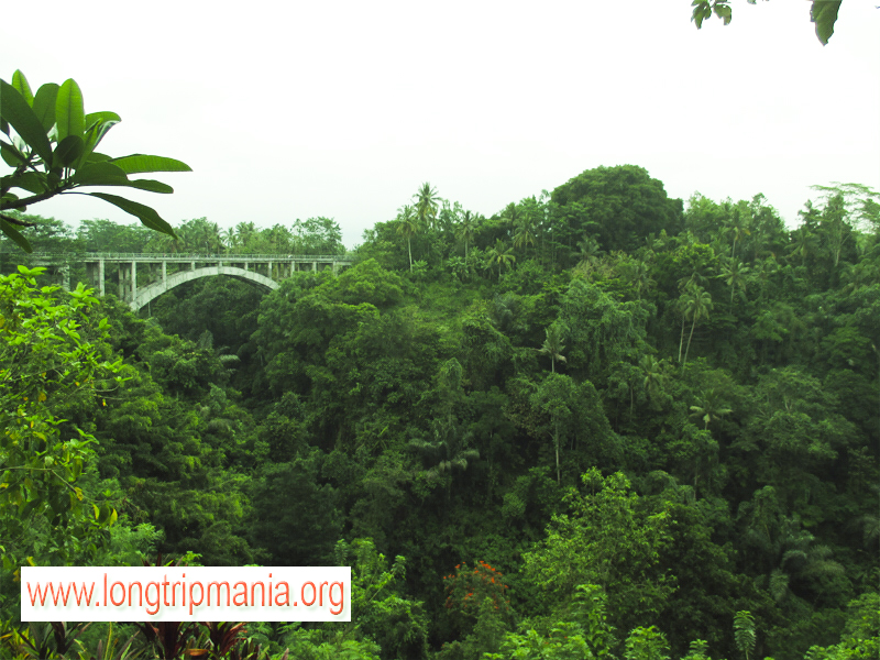 Tempat Wisata Lembah Tanah Wuk Sangeh Badung Bali