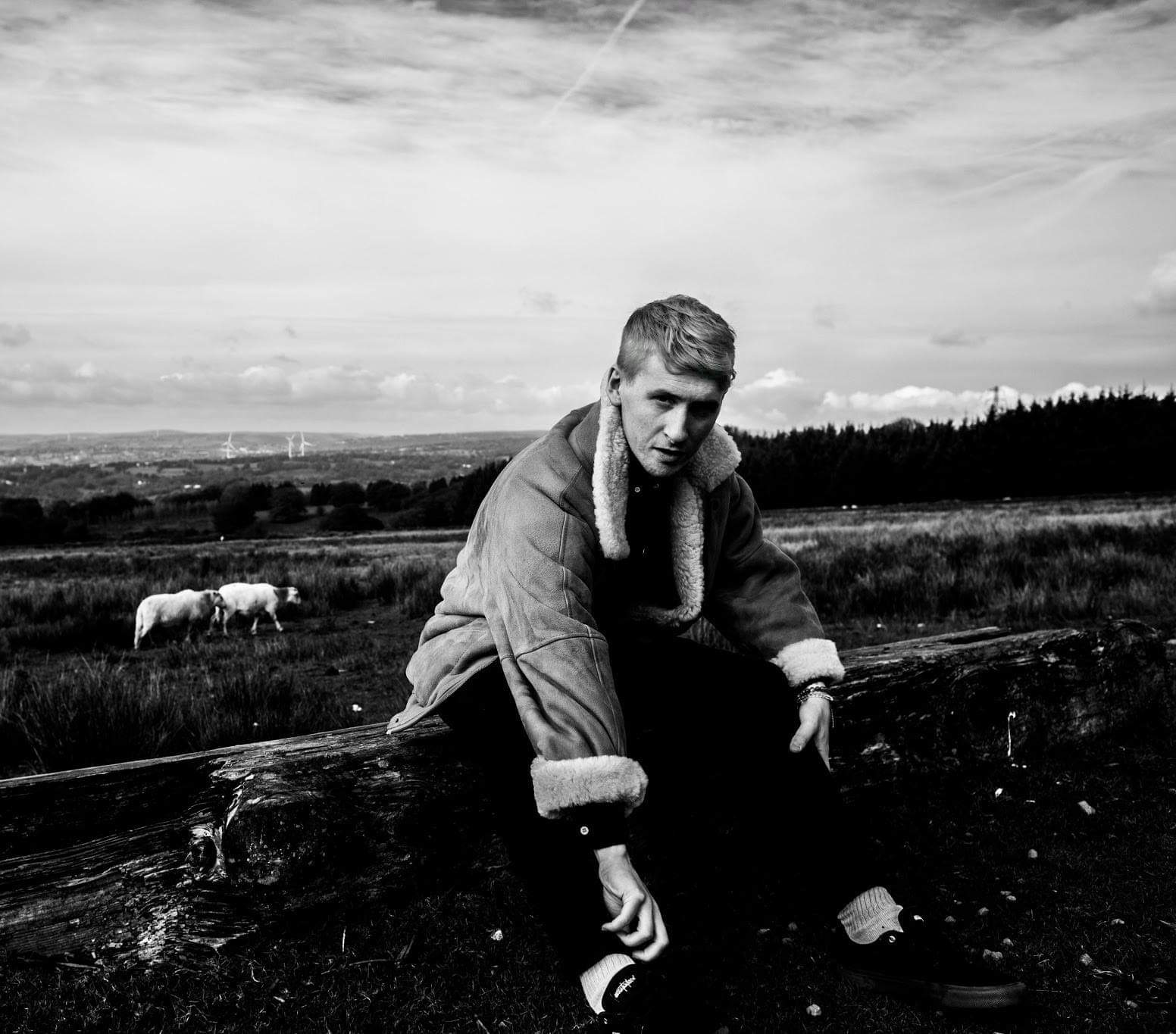 LITTLE INDIE Listen Skip Curtis Wild Love