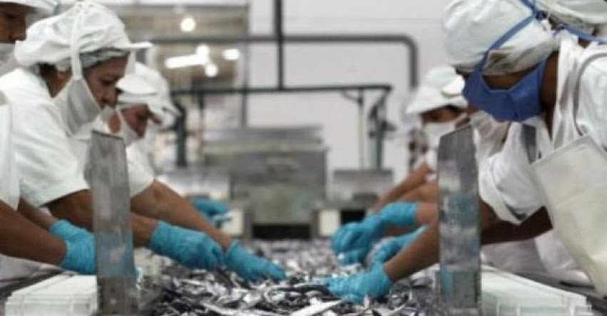 La mitad de plantas de conservas de pescado peruanas están a punto de cerrar por la importación asiática, advierte la Sociedad Nacional de Industria - SNI La mitad de plantas de conservas de pescado peruanas están a punto de cerrar por la importación asiática, advierte la Sociedad Nacional de Industria - SNI