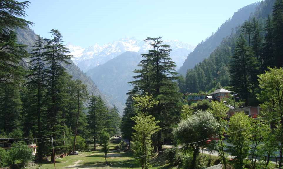 Alpine Guest House Cafe Kasol Alpine Guest House Cafe Kasol