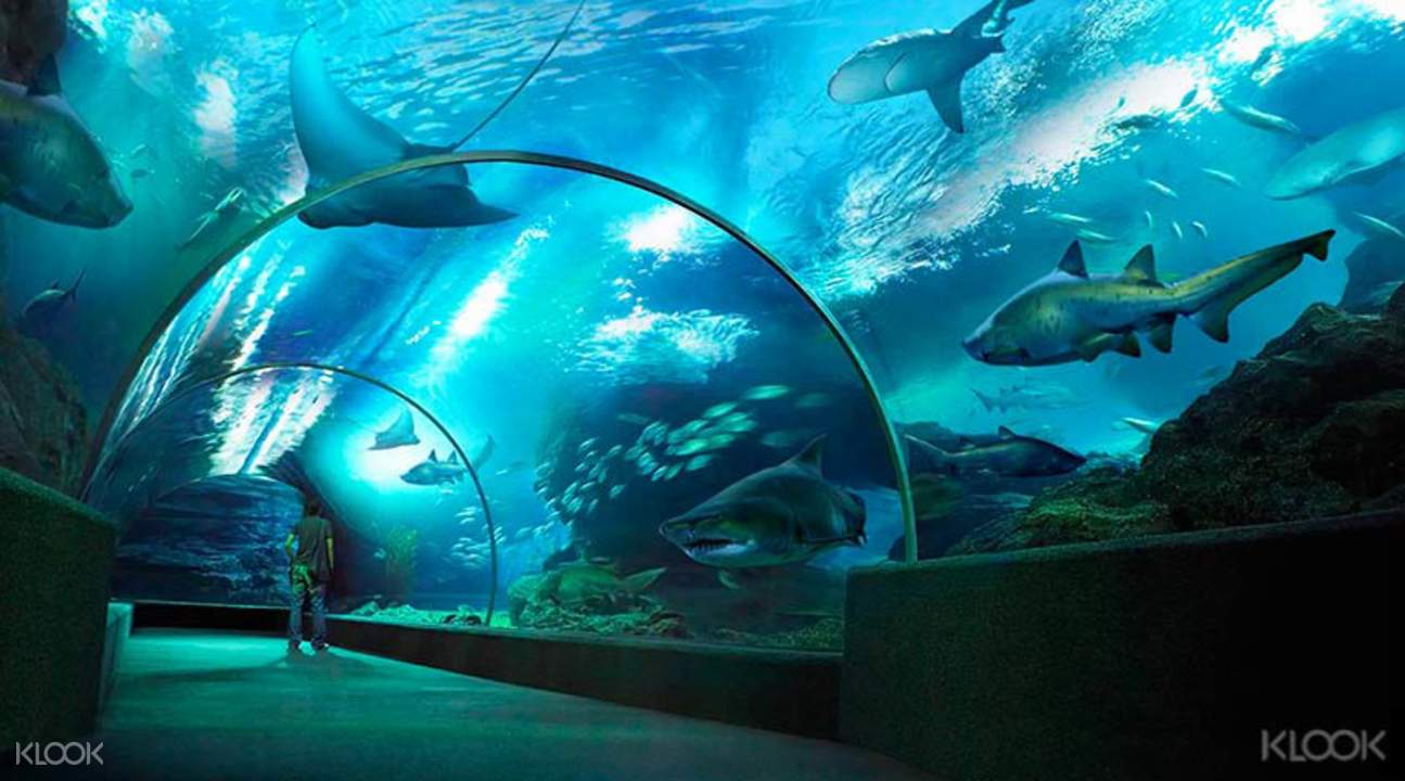 Attractions in Bangkok, Thailand (with Kids) Attractions in Bangkok, Thailand (with Kids)