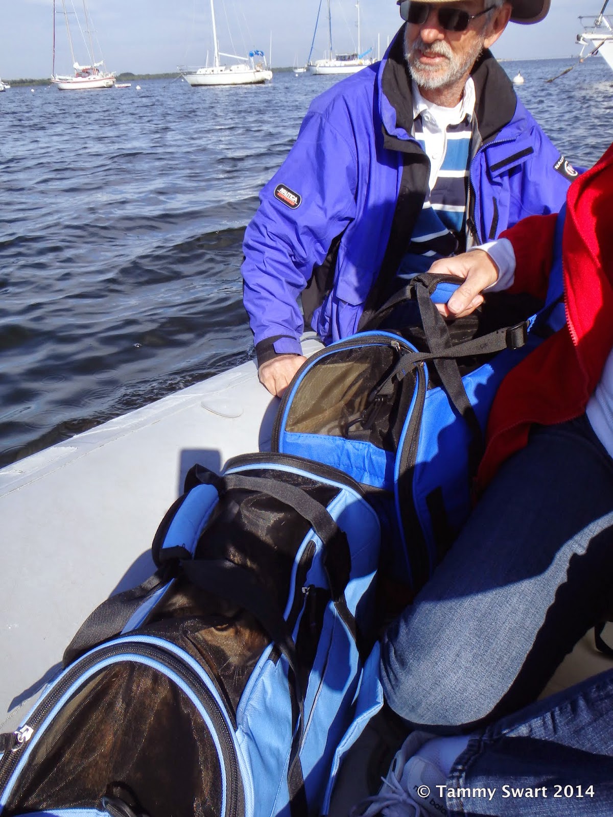 Things we did today... On Golden Wings