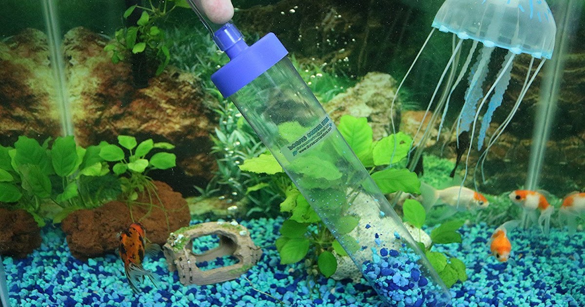 How to Set up Fish Tank Properly How to Set up an Aquarium