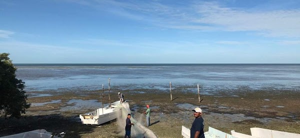 Desaparece el mar en campeche México. Desaparece el mar en campeche México.
