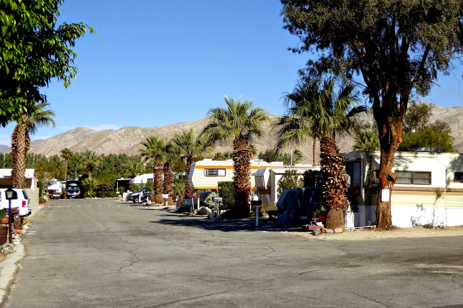 Croft's Wanderings Desert Oasis RV Park